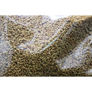FENOGRECO BOLSA DE 500 GRAMOS